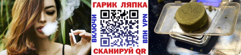 закладка Аткарск ГАШ Изолятор