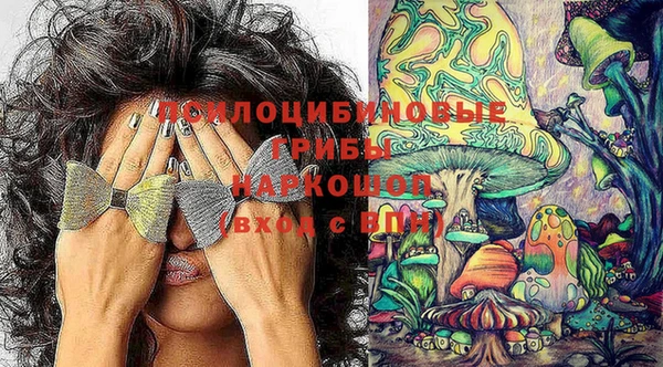 твердый Алексеевка