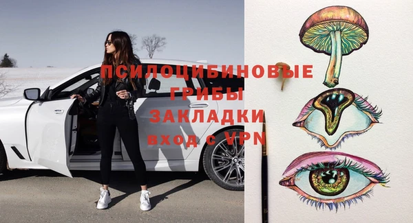 твердый Алексеевка
